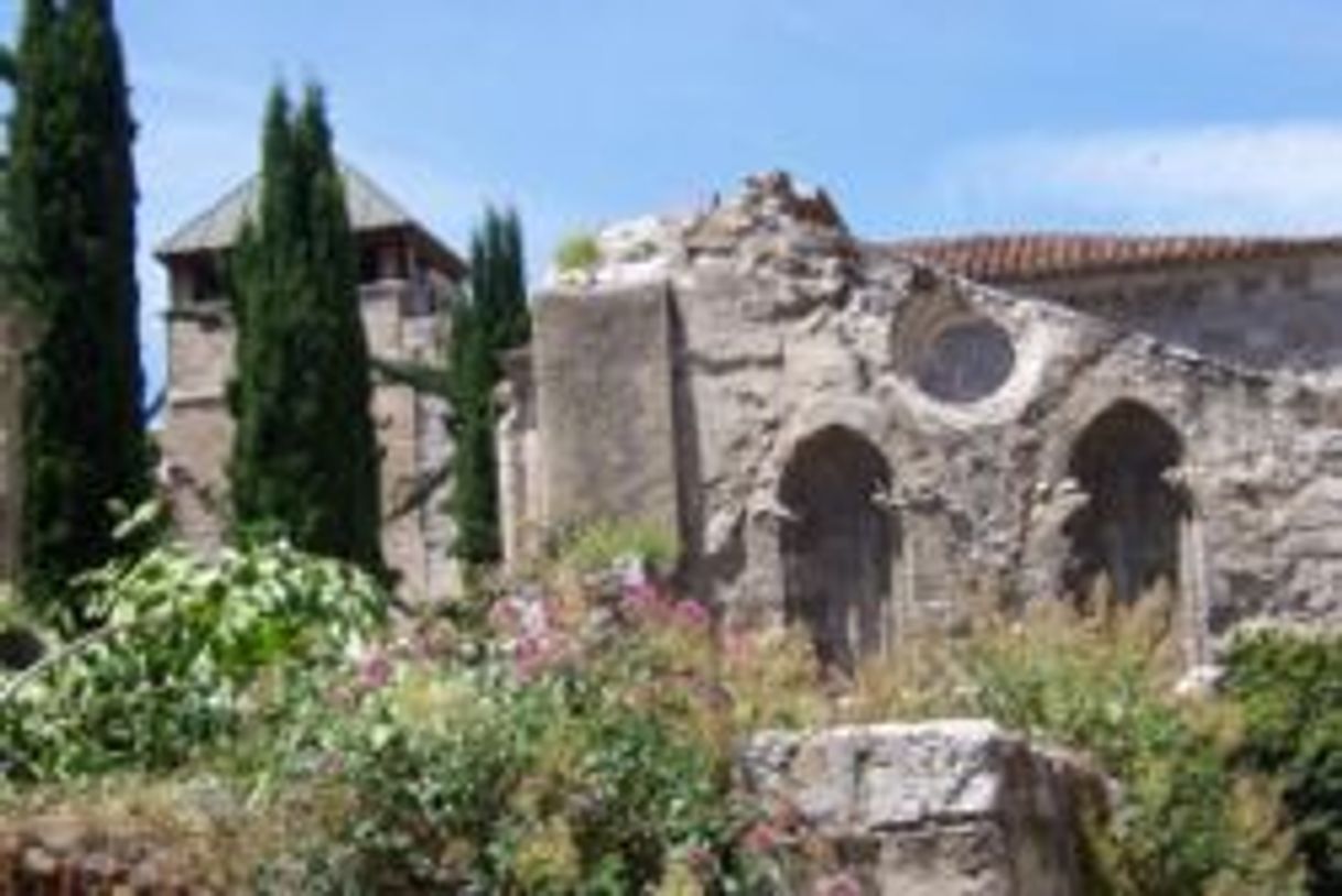 Lugar Ruinas de la Colegiata de Santa María la Mayor