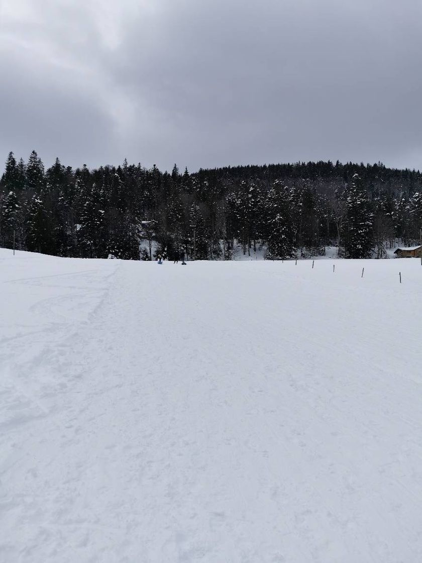 Lugar Col du Mollendruz