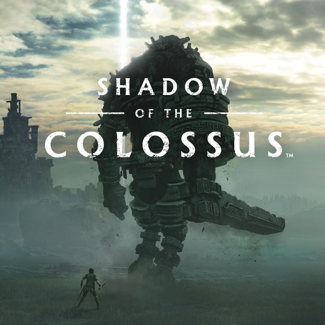 Social Shadow of the Colossus
