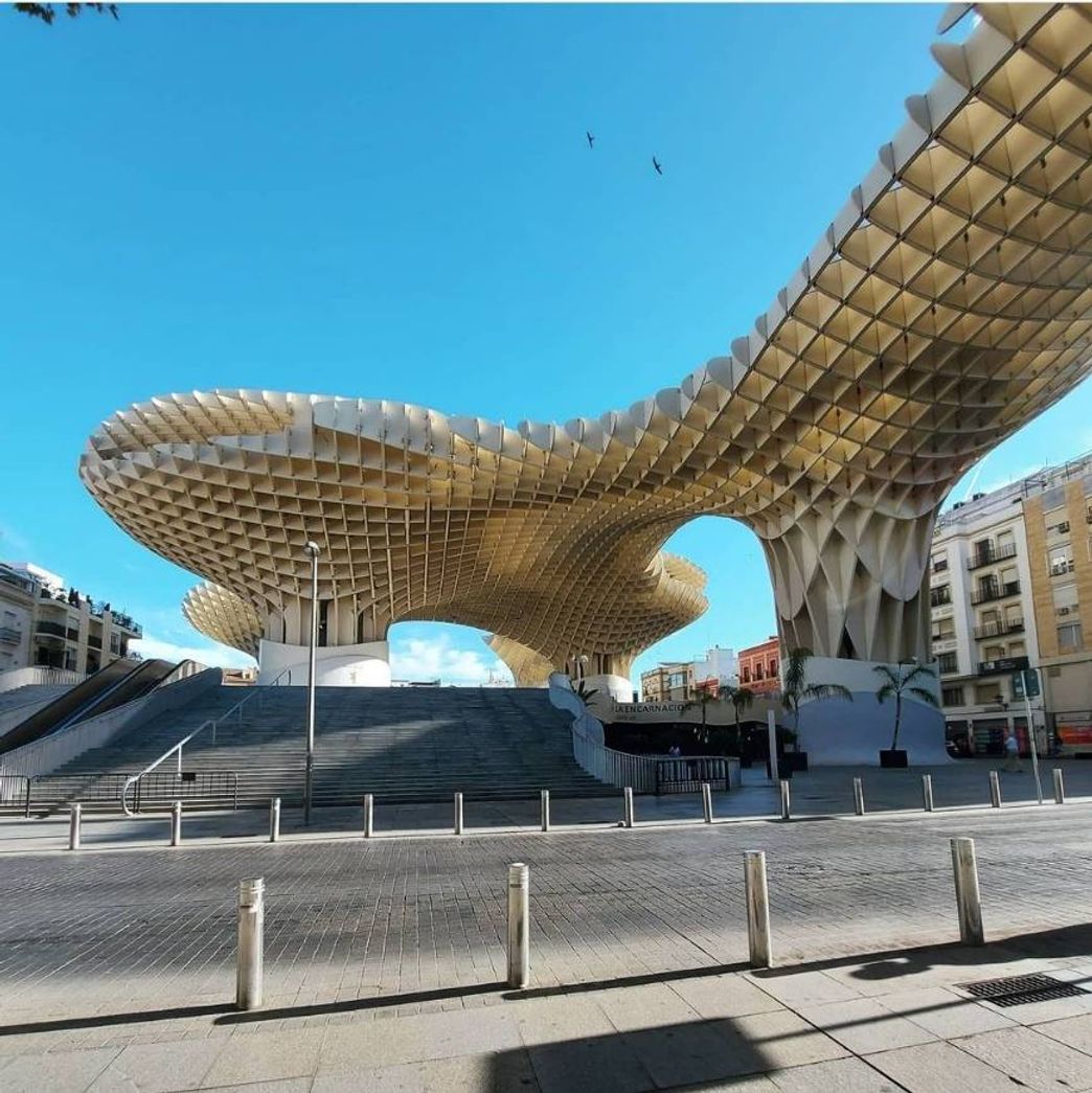 Lugar Setas de Sevilla