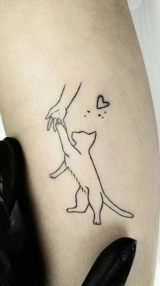 Moda Tatto - Gato 🐱