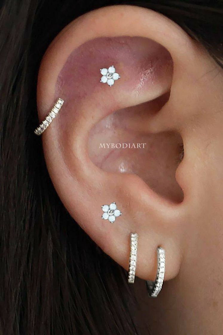 Fashion Piercings