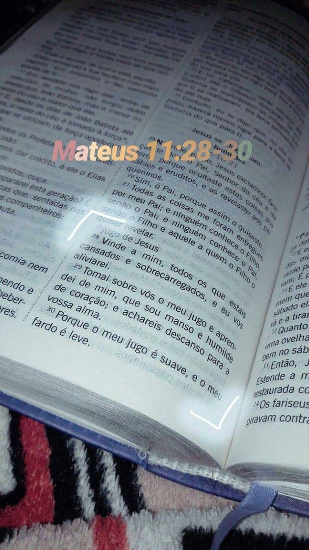 Social Trechos da Bíblia 