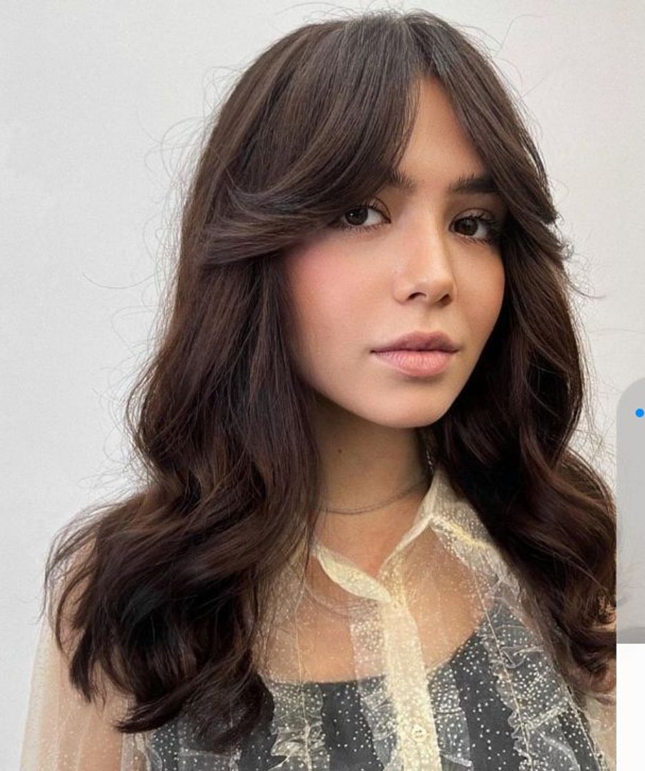 Social Corte Curtain bangs