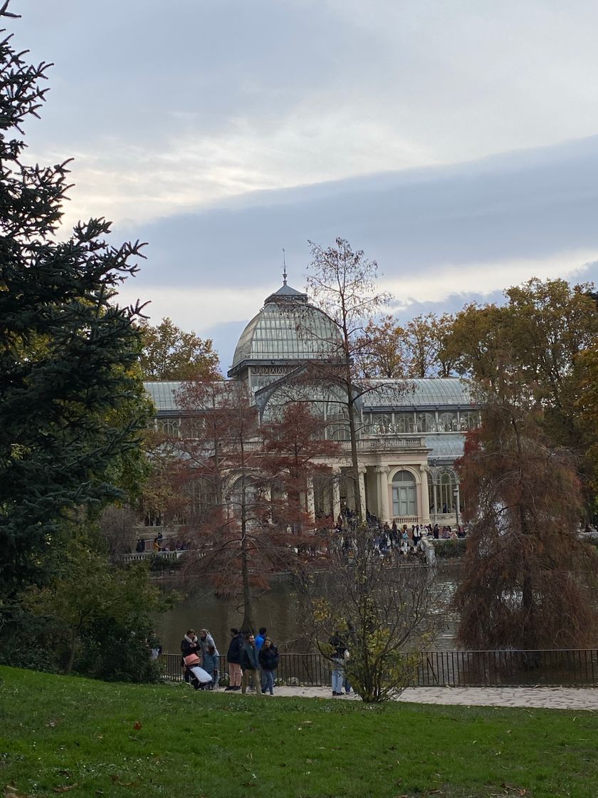 Lugar Parque de El Retiro