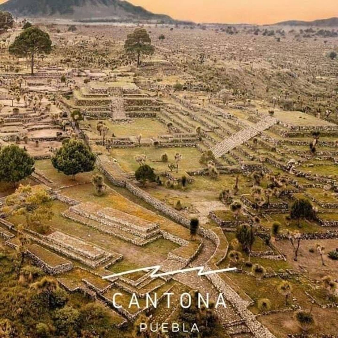 Places Cantona