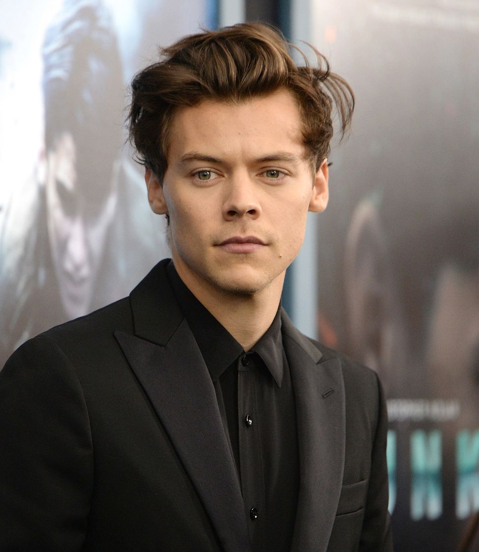 Social Harry Styles
