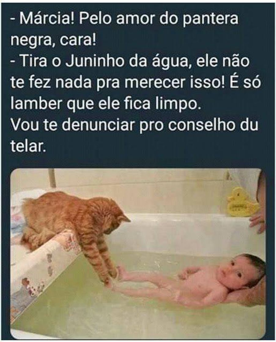 Moda animais 