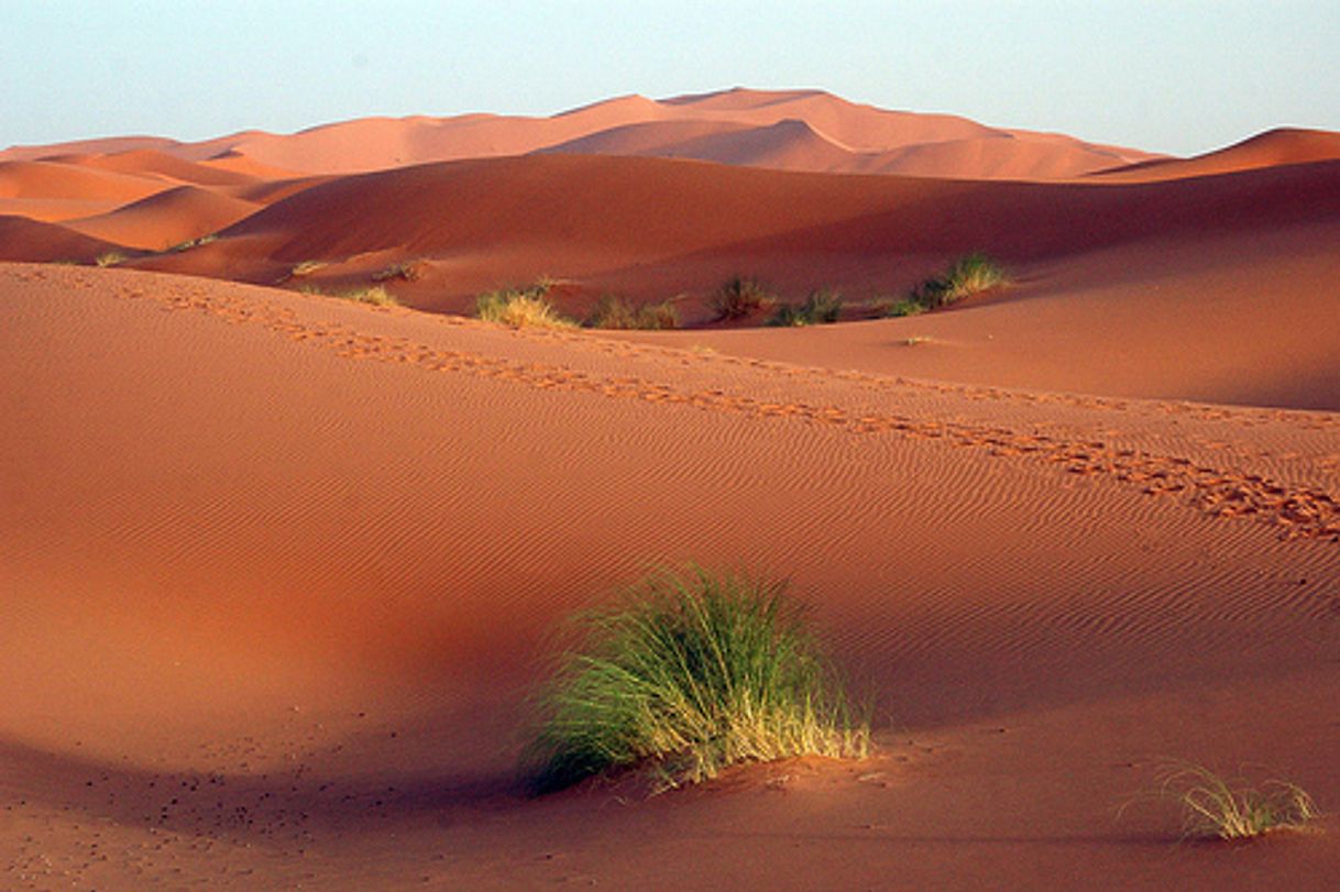 Place Sahara Desert