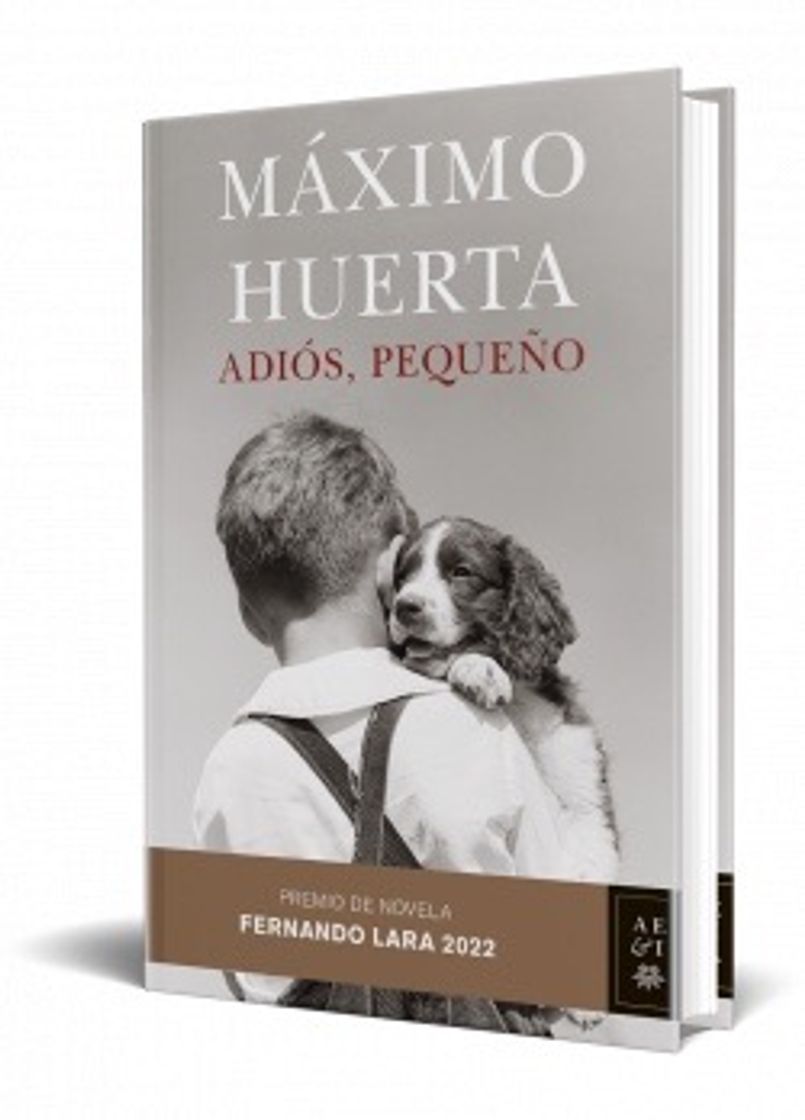 Book Adiós, pequeño - Máximo Huerta 