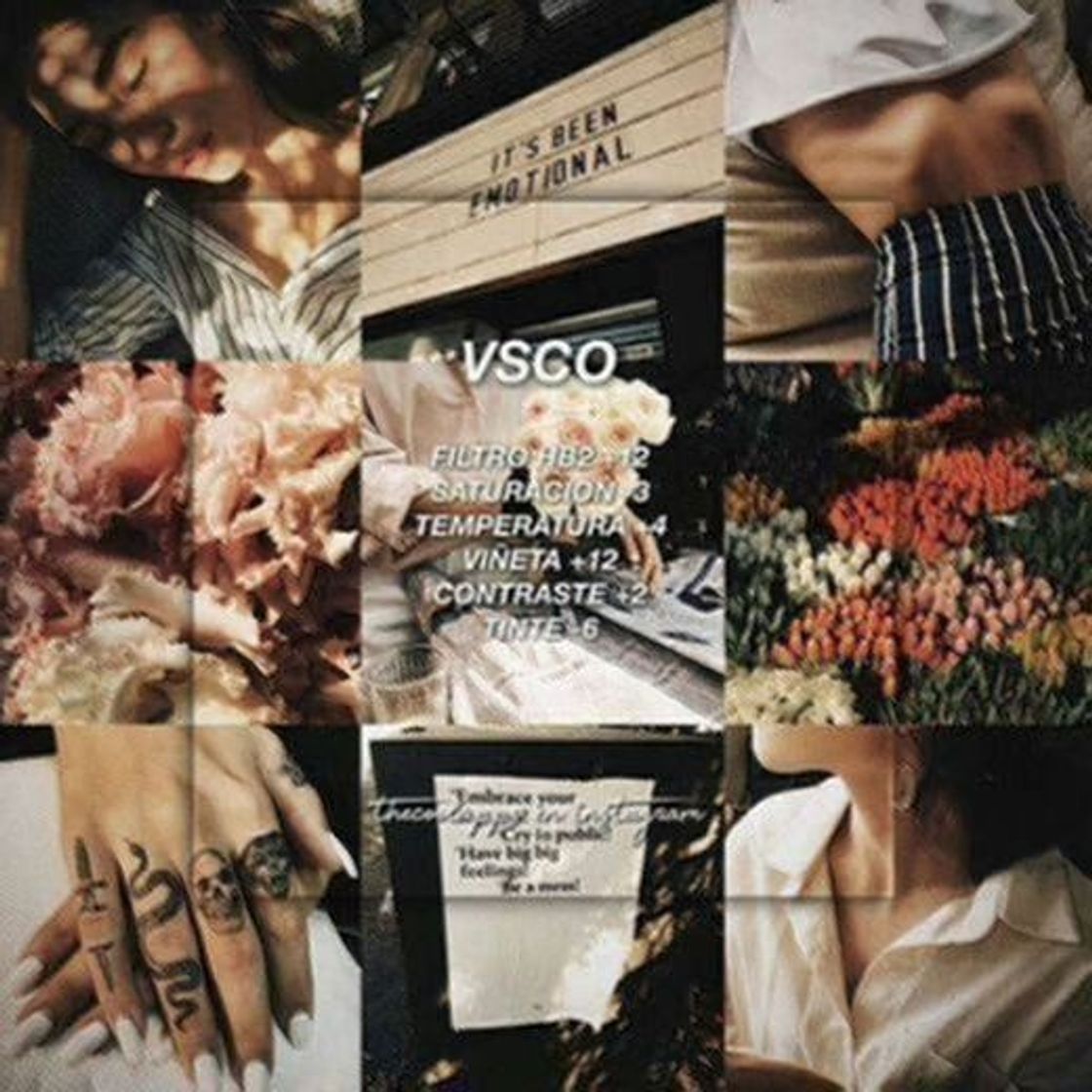 App VSCO: Editor de Fotos y Vídeos