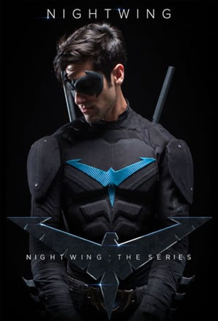 Serie Nightwing: The Series