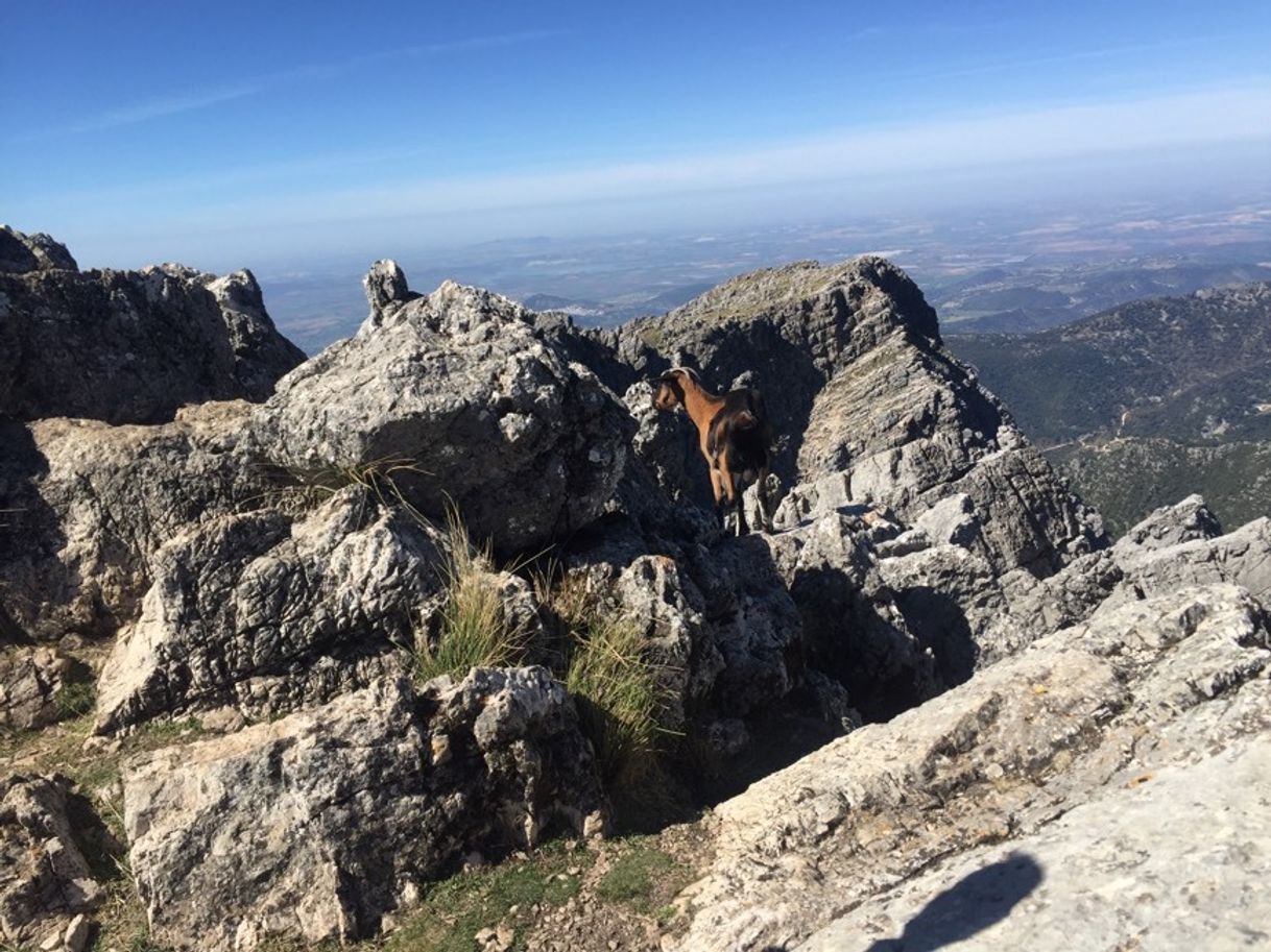 Lugar Sendero El Torreón