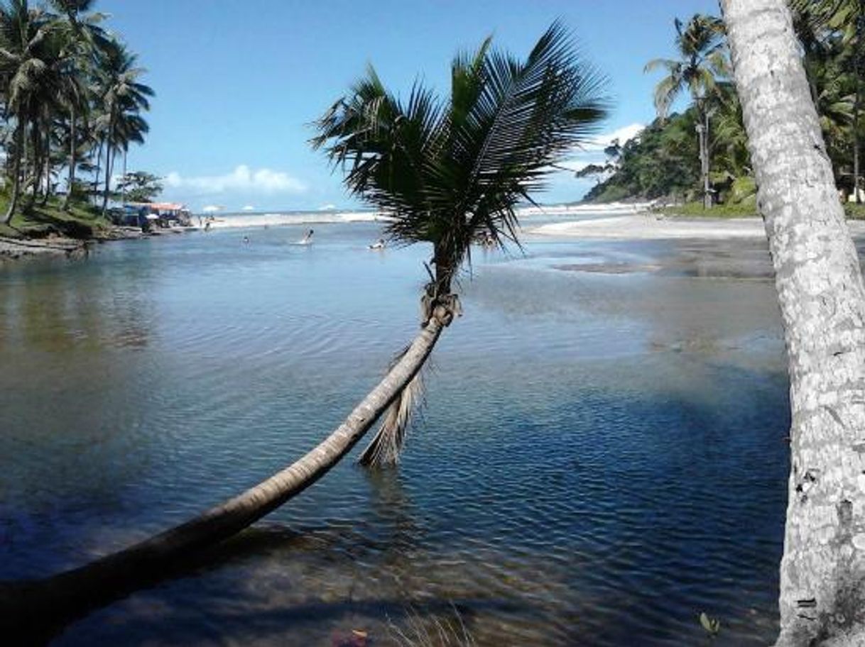 Lugar Praia de Jeribucaçu