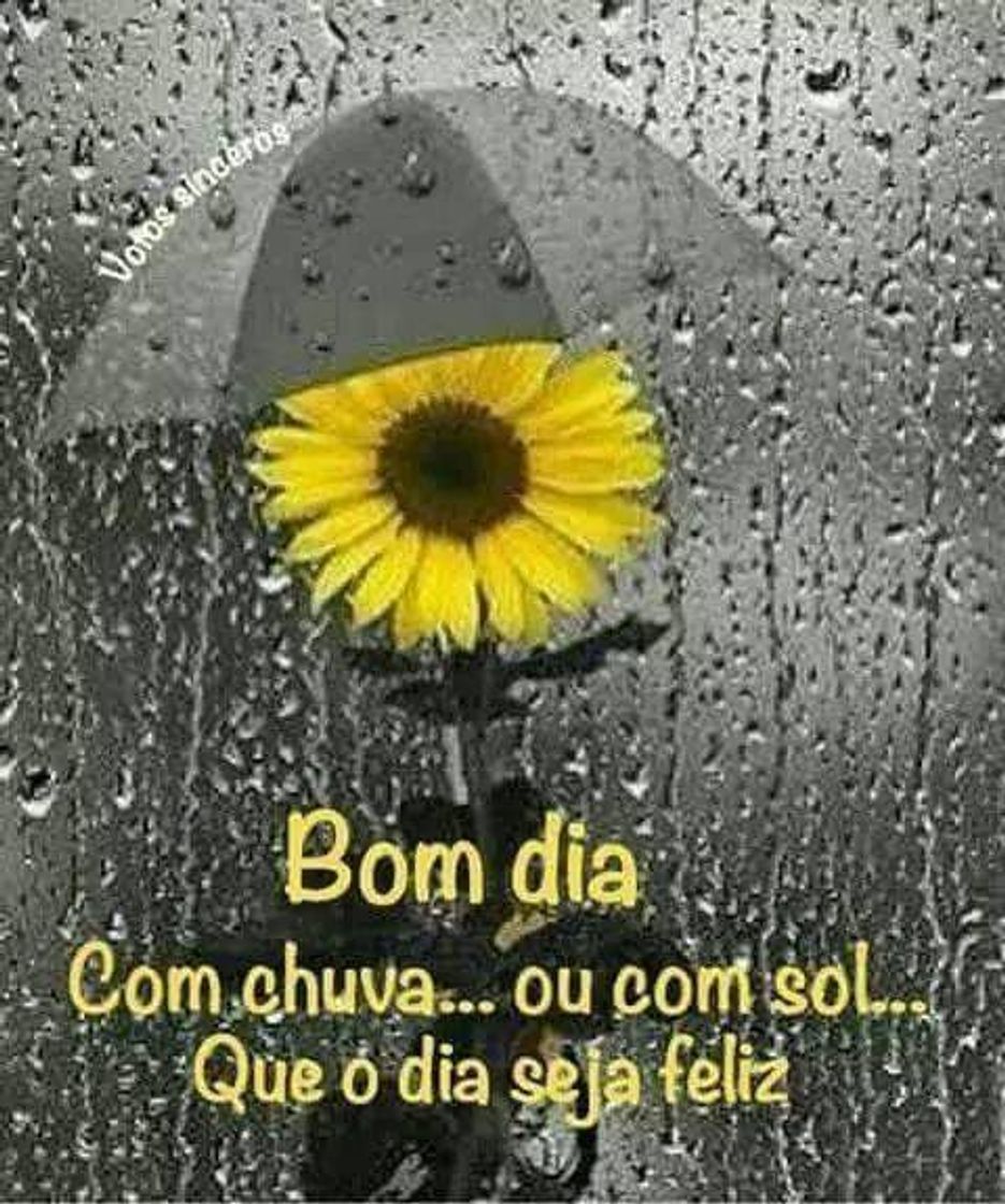 Moda Bom dia