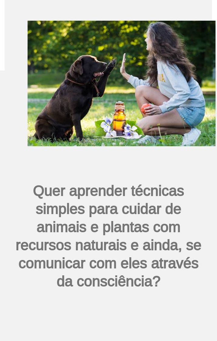 Fashion Curso Cuidados Naturais para Animais e Plantas

