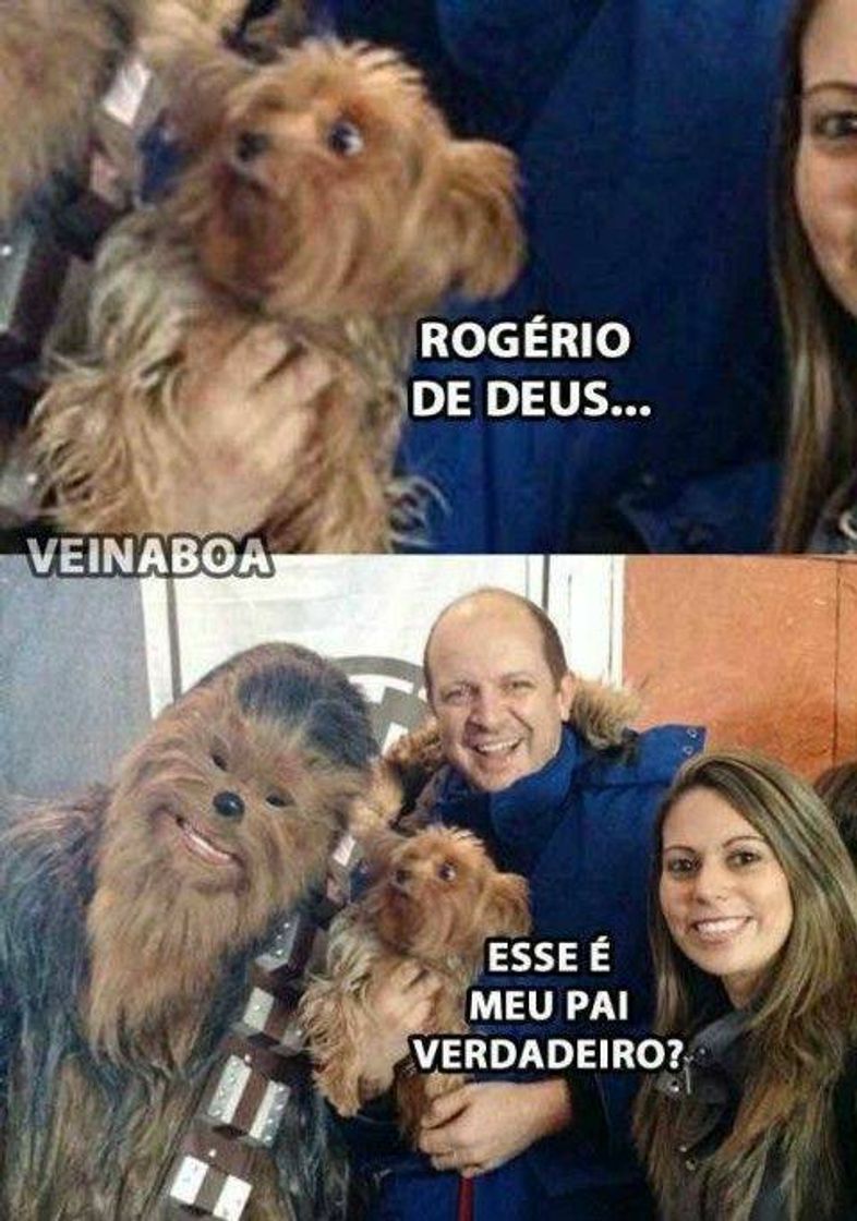 Moda Meme com animais