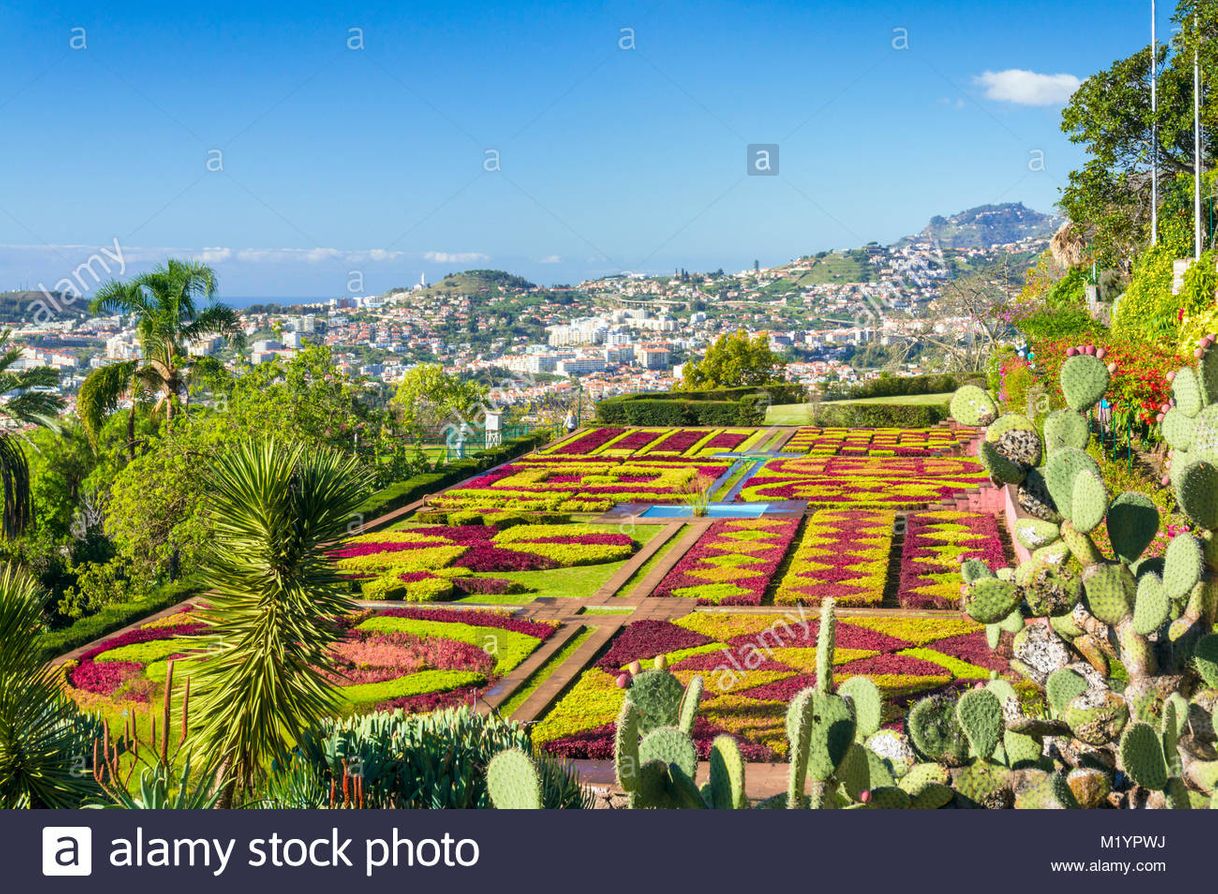 Lugar Jardín Botánico de Madeira