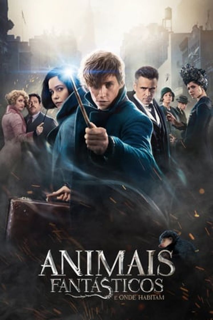 Animales fantásticos y dónde encontrarlos