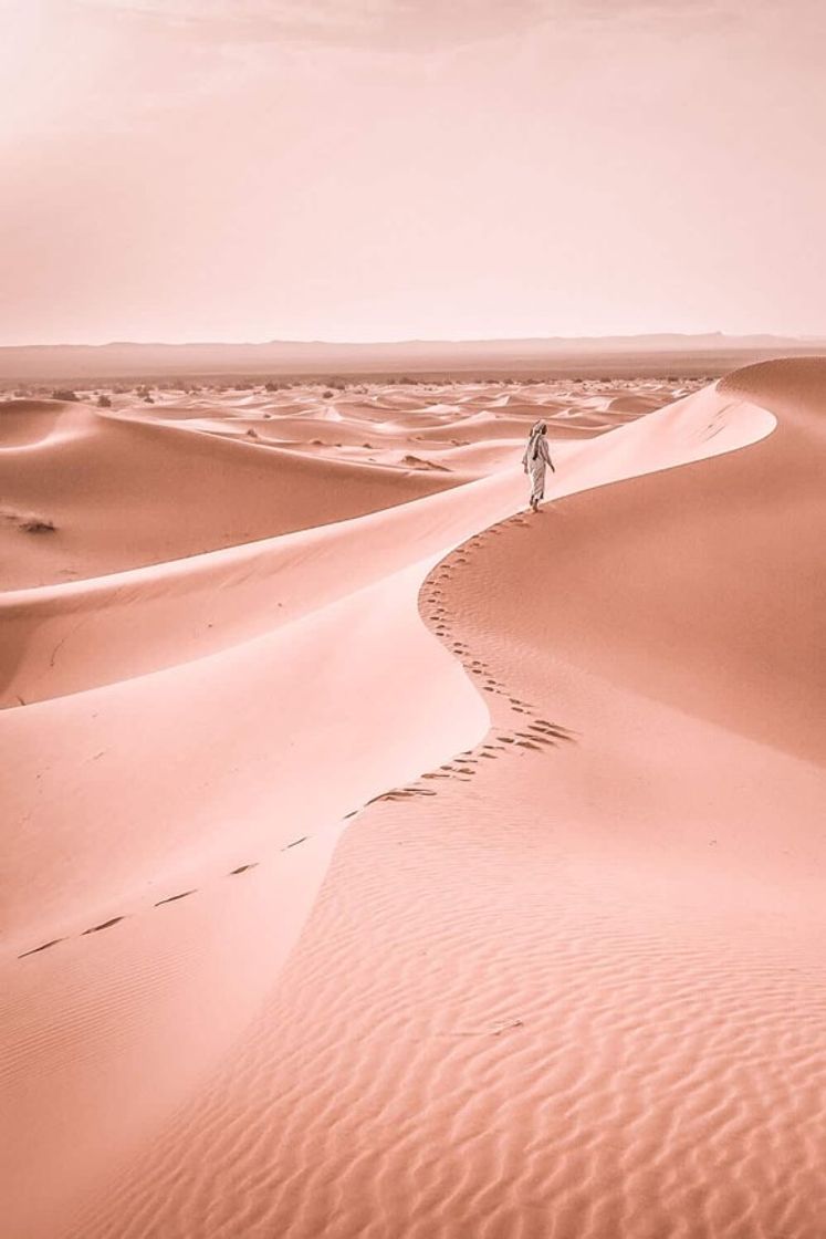 Place Merzouga Desert