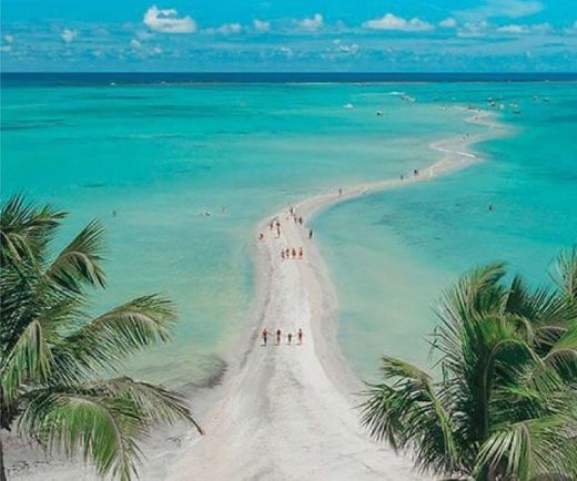 Praia de maragogi - alagoas 