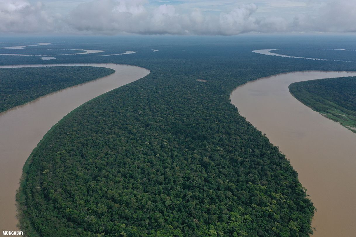 Lugar Amazonas