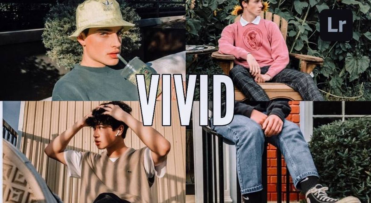 Moda VIVID PRESET