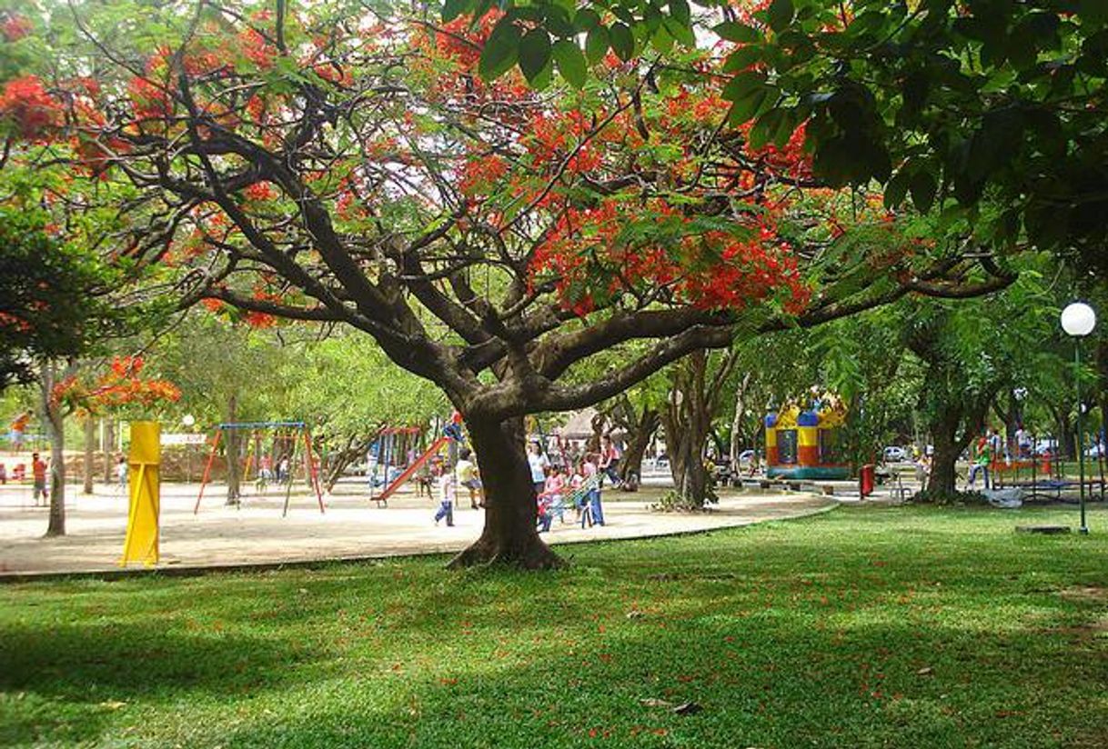 Place Jaqueira Park