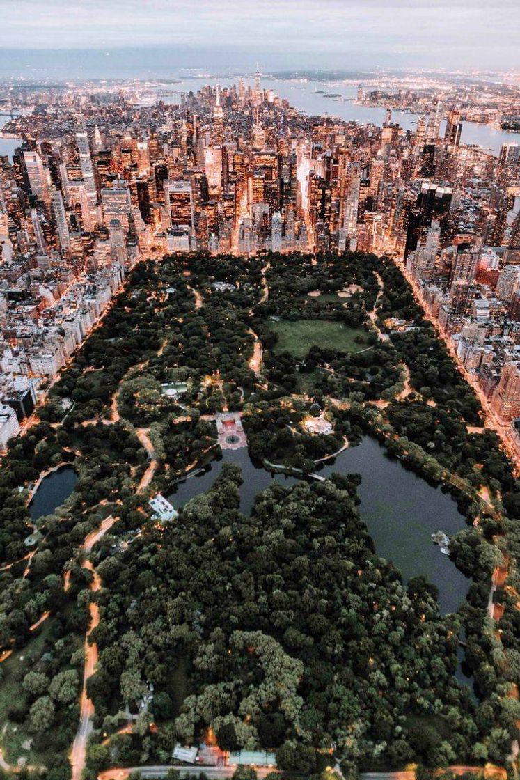 Lugar Central Park