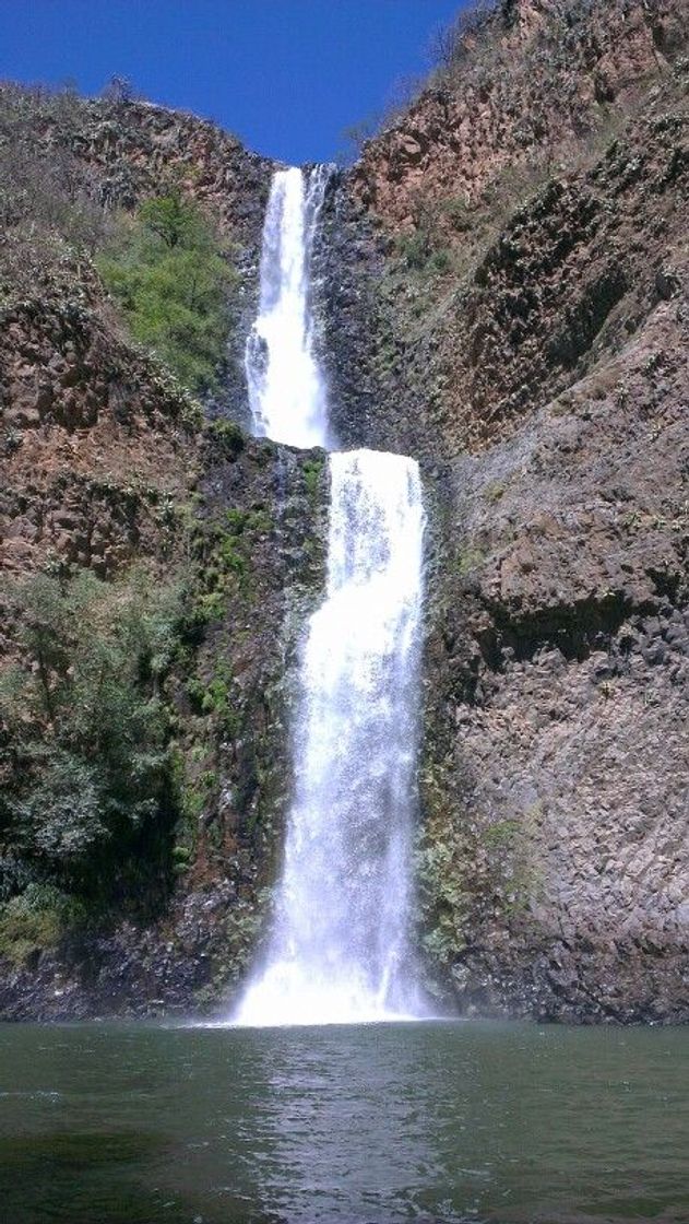 Lugar Cascada el Salto del Nogal, Tapalpa