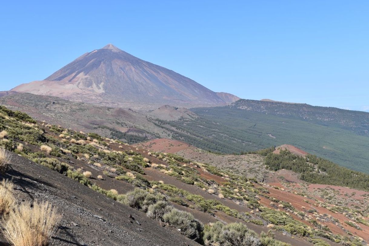 Place Teide