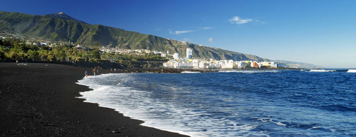 Place Playa Jardín
