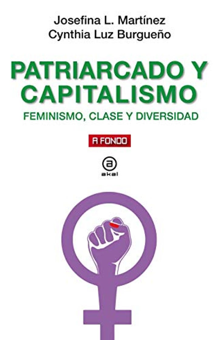 Book patriarcado y capitalismo. Feminismo, Clase y Diversidad: 27