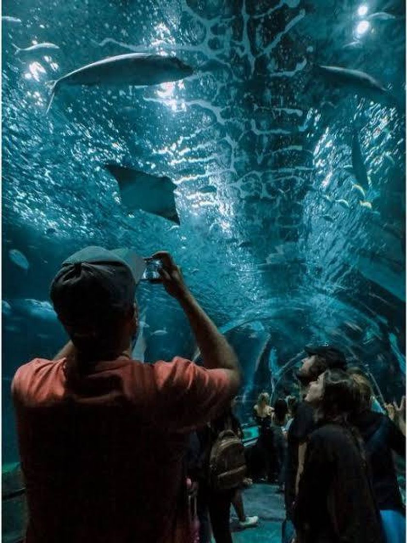 Lugar Aquário Marinho do Rio de Janeiro