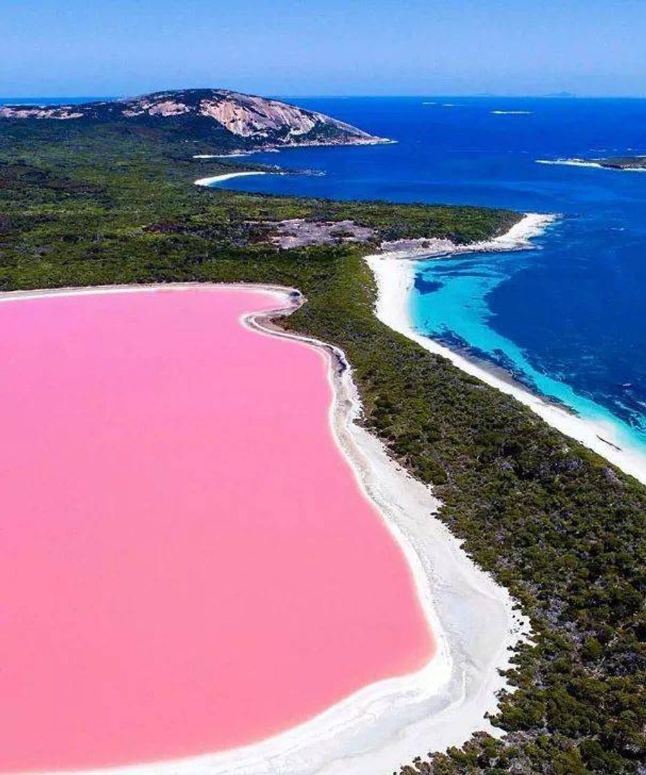 Fashion LAGO COR DE ROSA