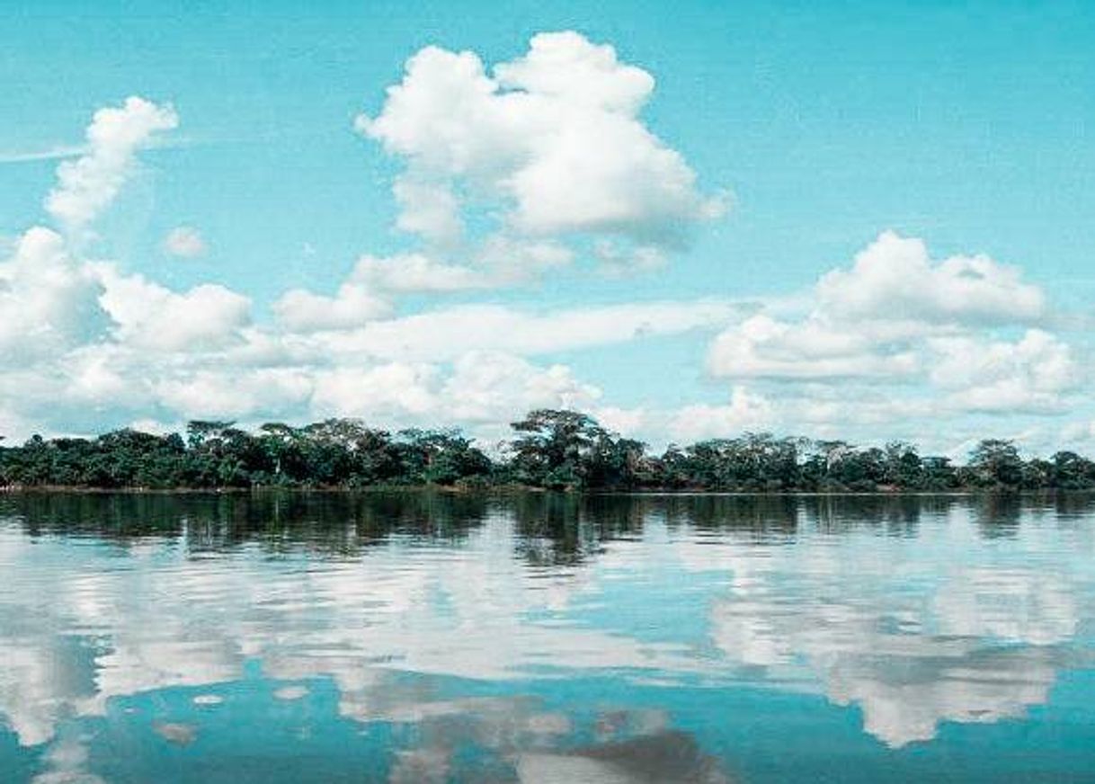 Places Lago de Yarinacocha