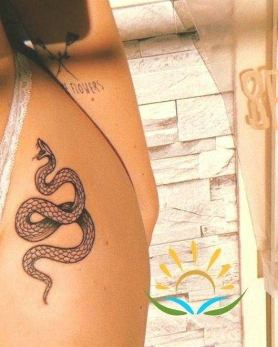 Fashion Inspiração para tatuagem de cobra 