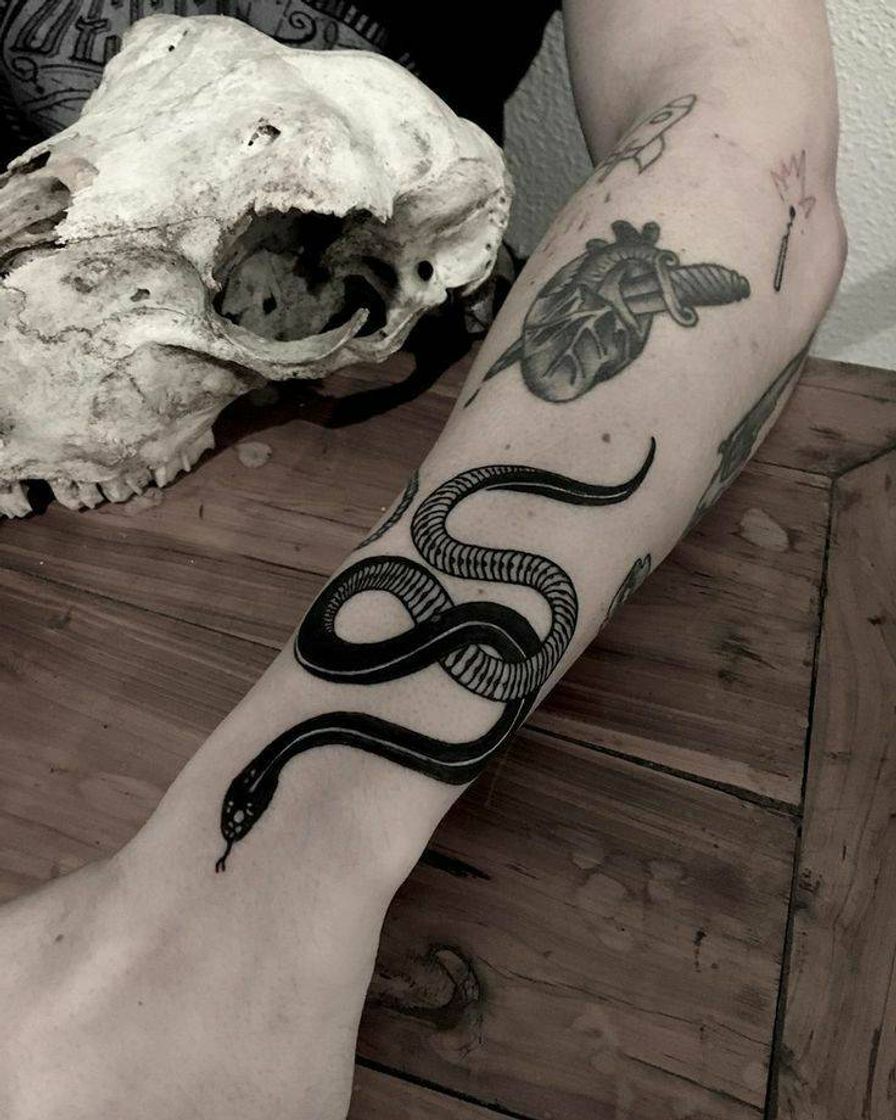 Moda Inspiração para tatuagem de cobra 