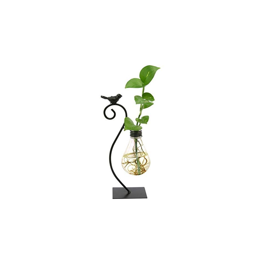 Producto Maceta Decorativa Cristal Sobremesa Jarrón Plantas Hidroponicas Bombilla con Diseño de Ave