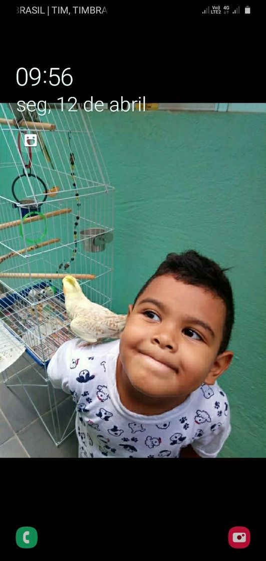 Serie Luiz miguel 