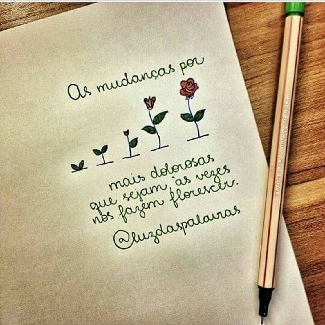 Social 🌹