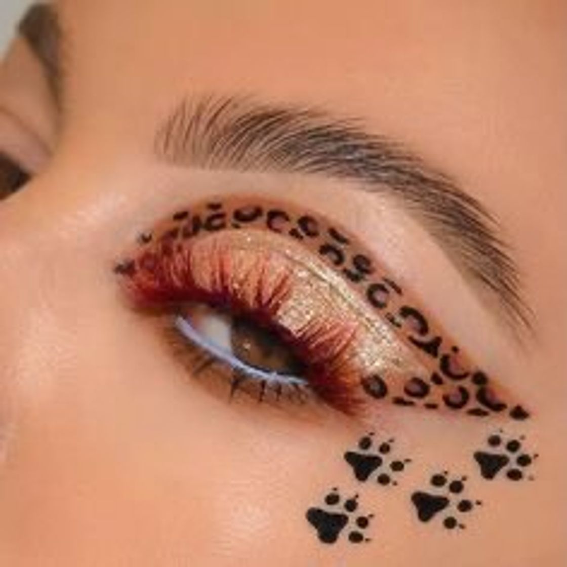 Moda Maquiagem onça🐆✨ 