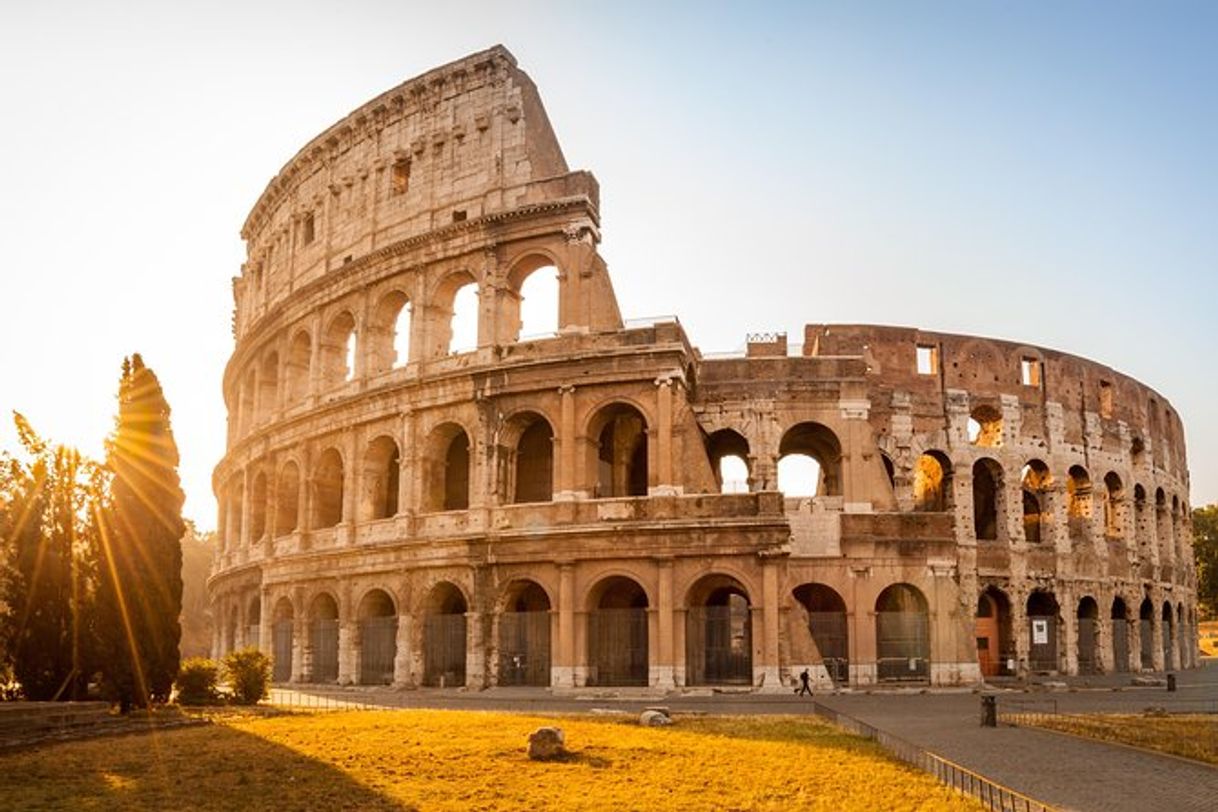 Lugar Coliseo de Roma