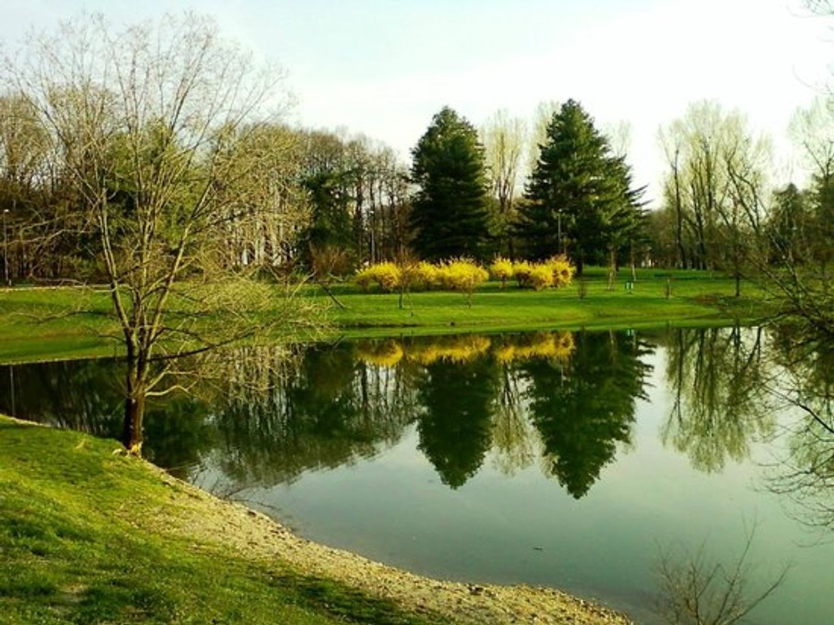 Lugares Parco Forlanini