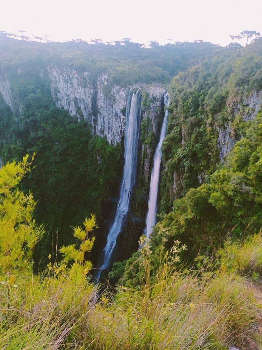 Lugar cachoeira 