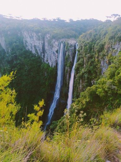 cachoeira 