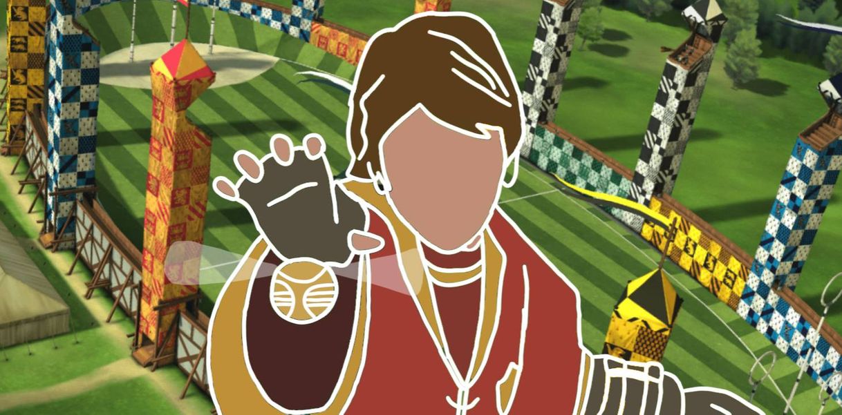 Social Harry Potter Quidditch