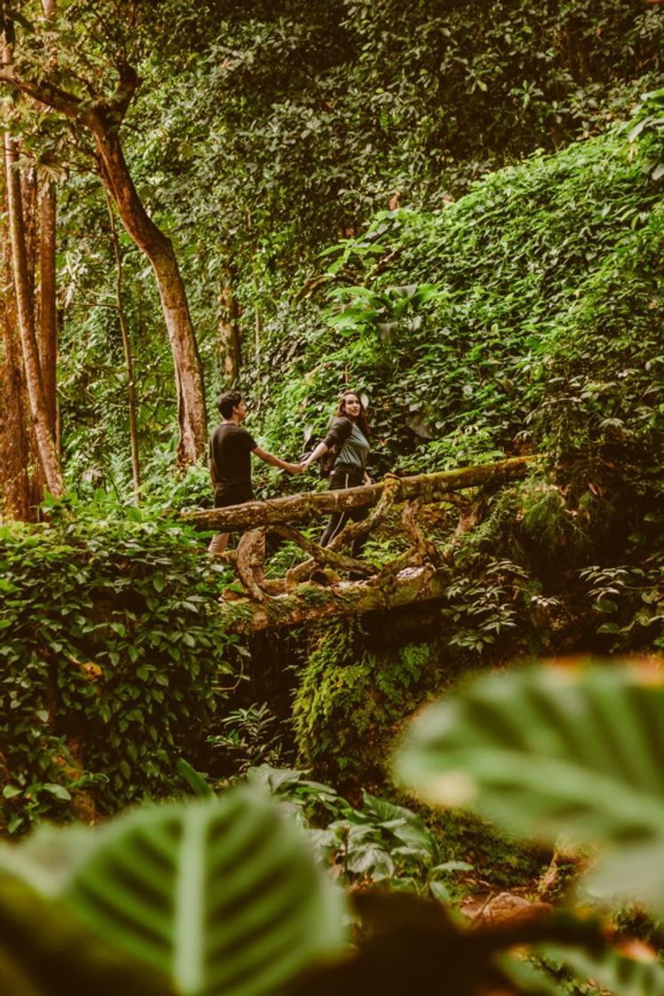 Lugar Parque Lage