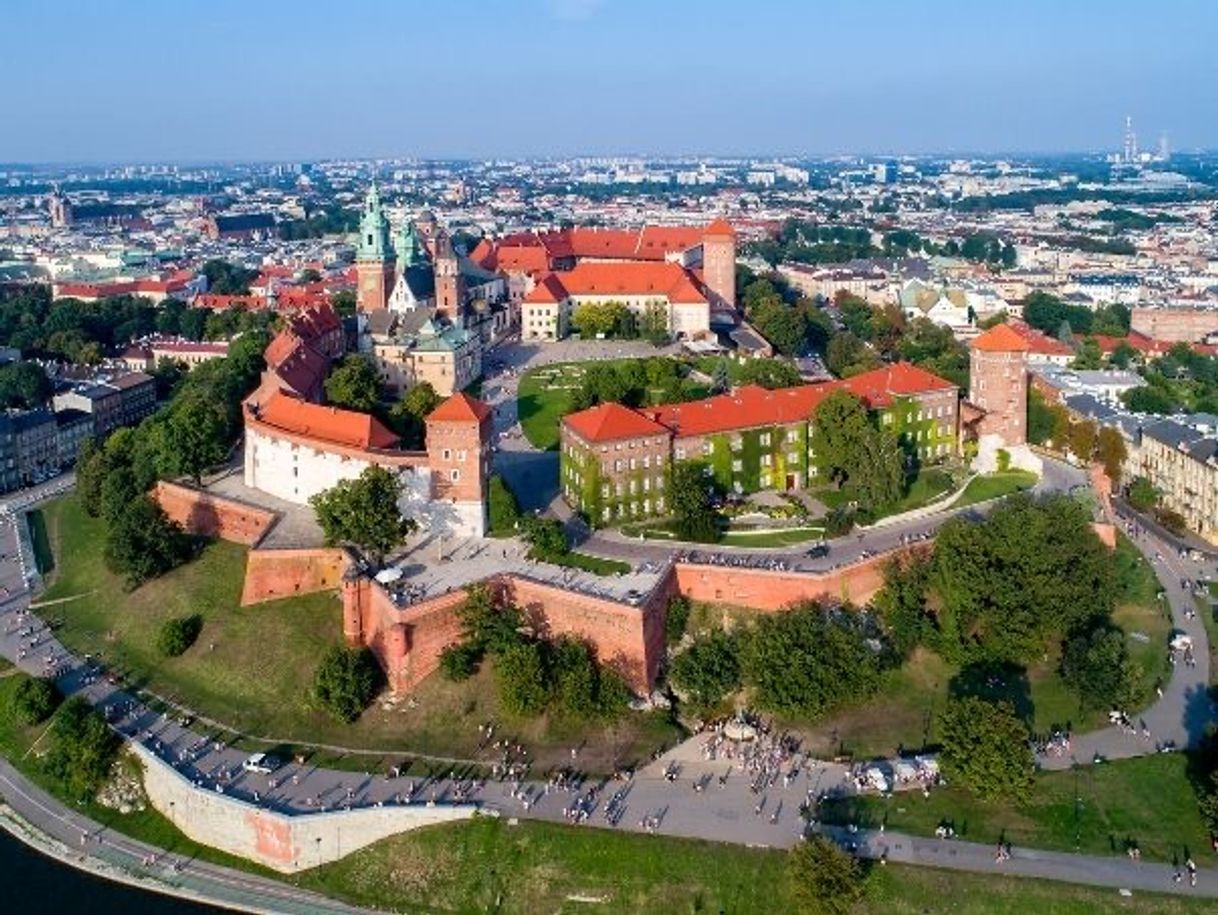 Place Castillo de Wawel