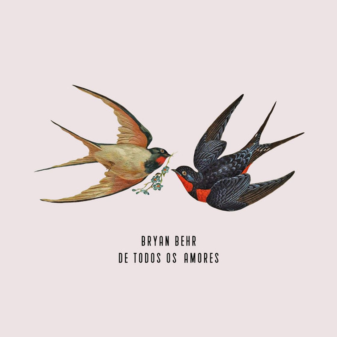 Music De Todos Os Amores